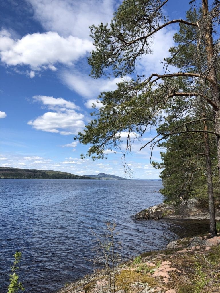 Vue sur l'eau