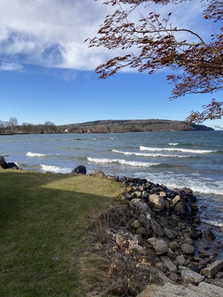 The shore of Lake Vättern