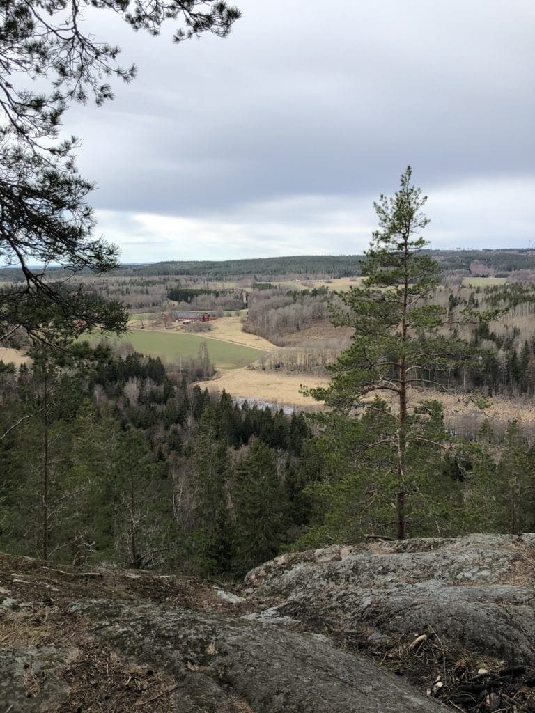 view of the landscape
