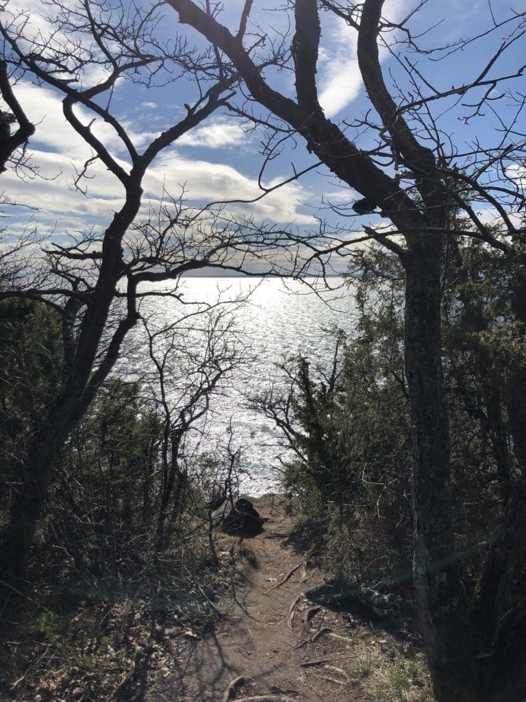 view by water