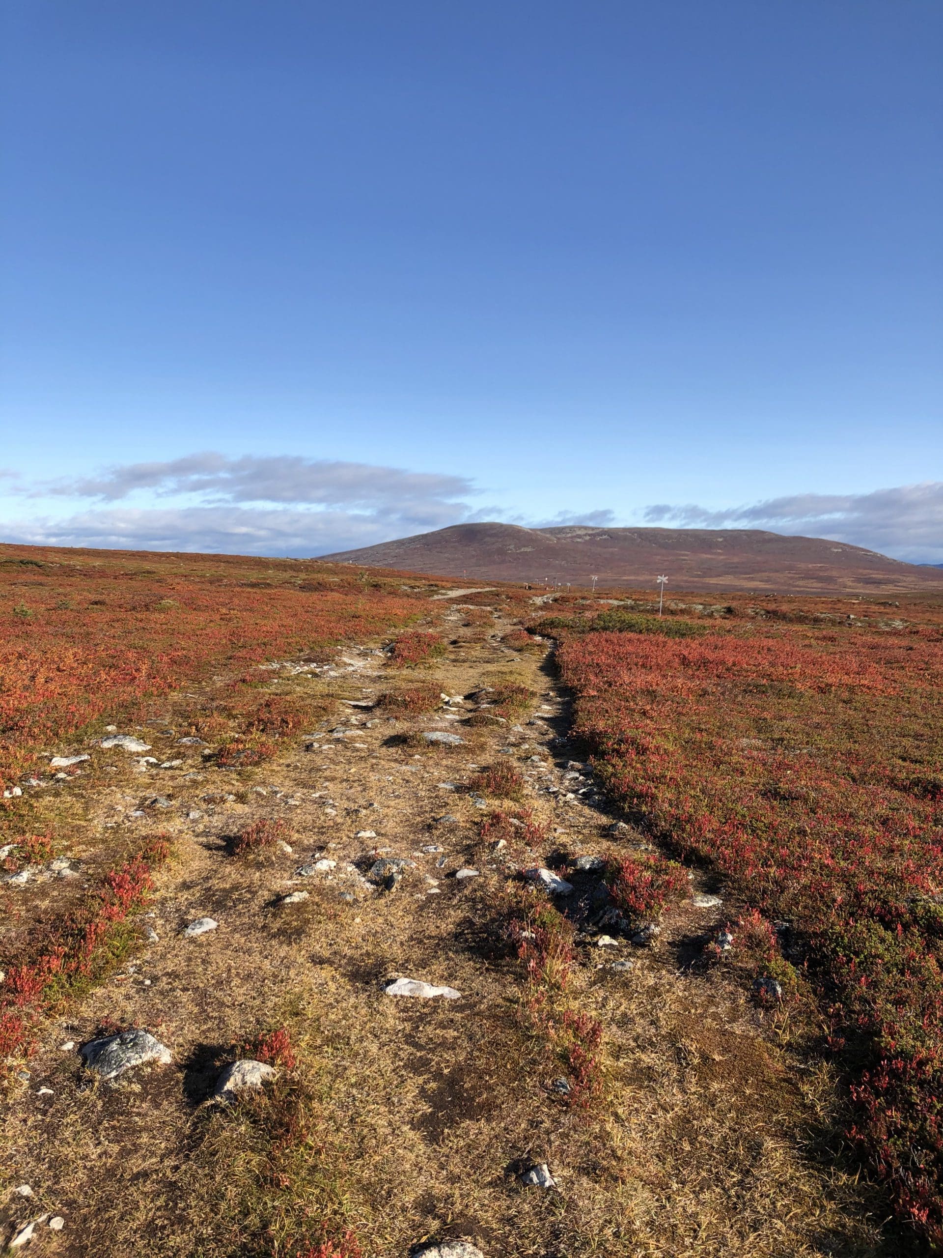 utsikt över fjället