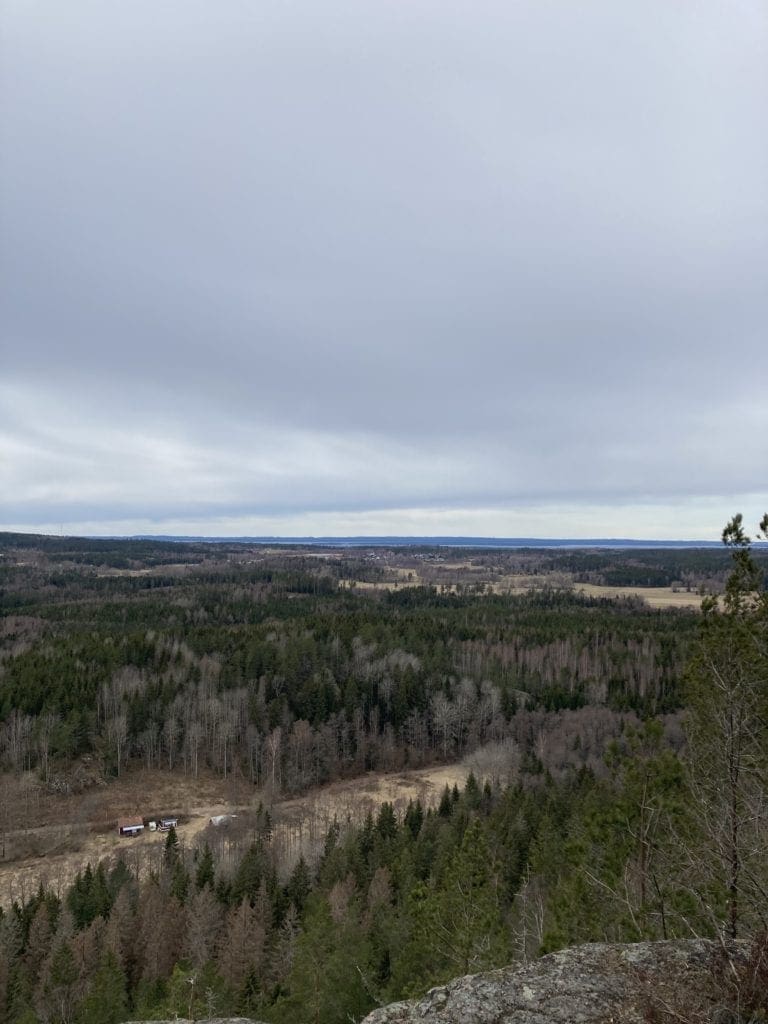 vy över skogen och Vättern